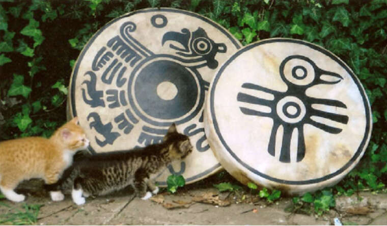 Trommeln von Miroslav Kaspar